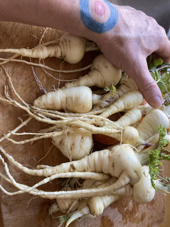 Gleaning — Art of Soil
